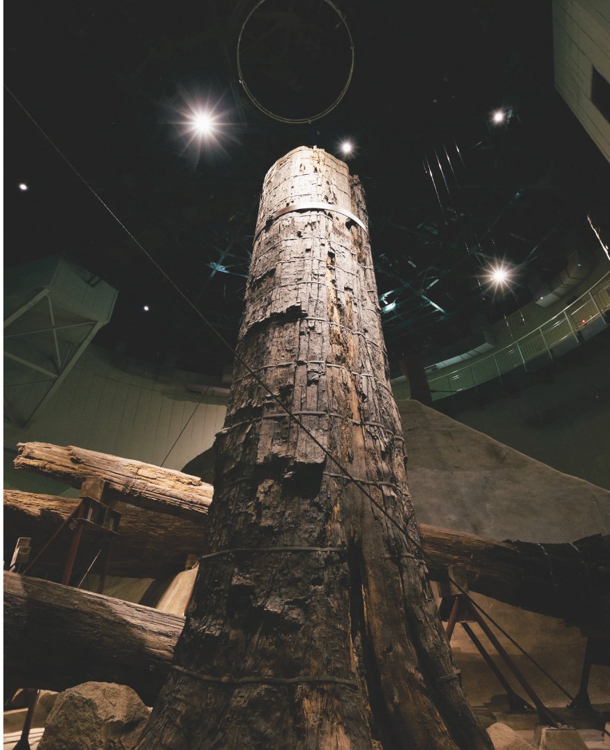 🏞️ 산베 자연관 사히멜(시마네켄리츠 산베 시젠칸 사히메루) 이미지 4